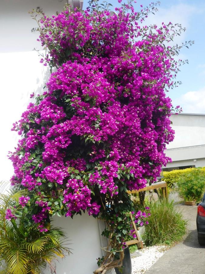 Plumeria Holidays Saint Pierre Exterior foto